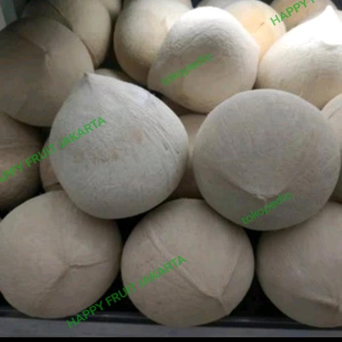 

Kelapa Bangkok Bakar 1 pics