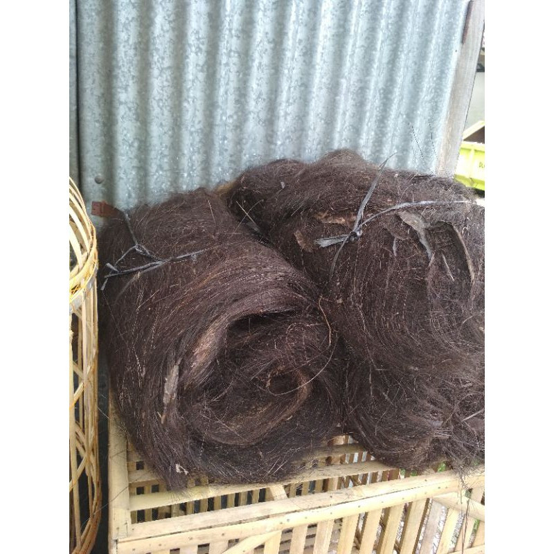 SS - Ijuk Aren Kakaban - Ijuk berharupat/berduri - untuk menempelnya telur ikan - bahan atap villa ,