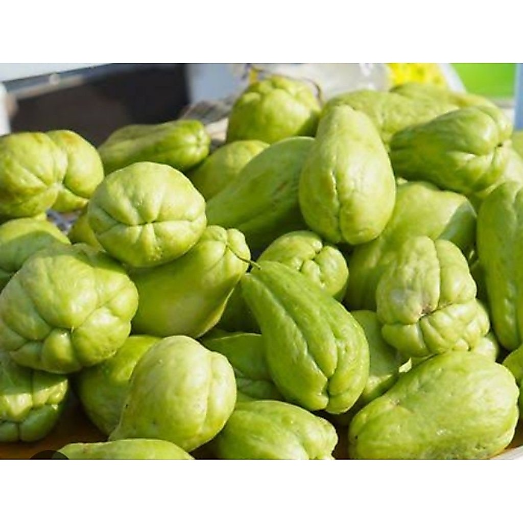 Labu Siam Waluh Jipang Wonosobo 1Kg