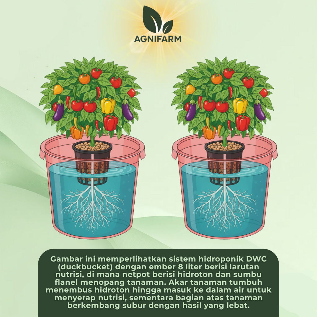 AgniFarm - Bak Hidroponik 8 Liter Sistem Dutch Bucket untuk Tanaman Daun Bang. Bonus Netpot 10 cm da