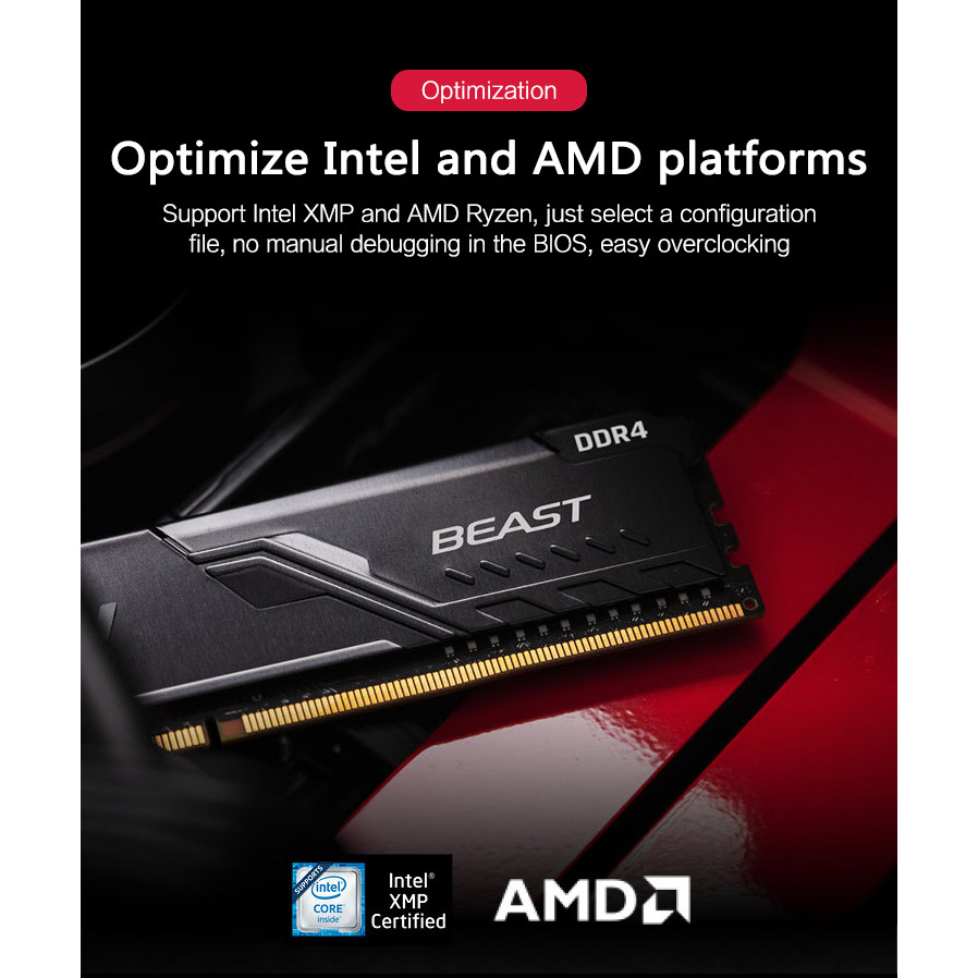 Beast DDR4 Memory Module 8GB 16GB 32GB 3200MHz 3600MHz Desktop AMD Intel CPU Motherboard Memory RAMs