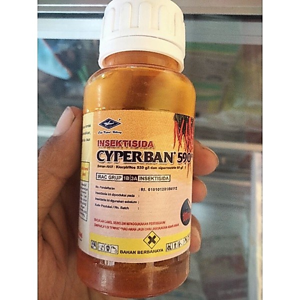 Insektisida  Cyperban 590 ec (100 ml)