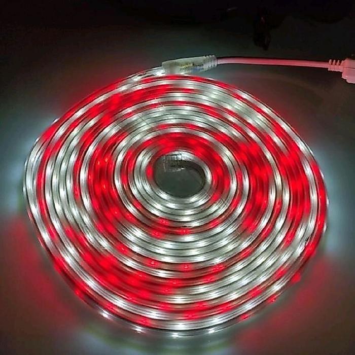 Lampu Selang Led Strip Hakamitsu Merah Putih 7 M Meter Yazuho 5 M Meter Lampu Led 17 Agustus 7 M