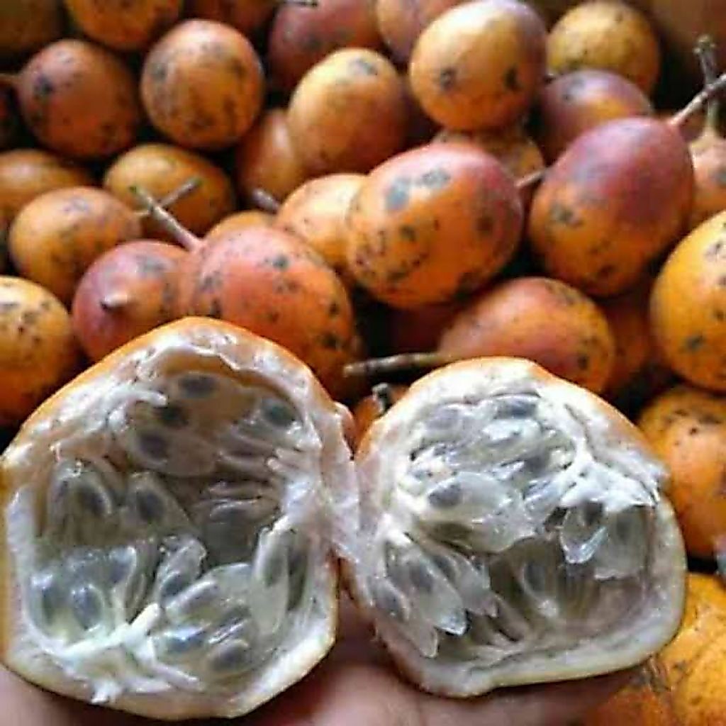 Konyal 1kg / Markisa manis