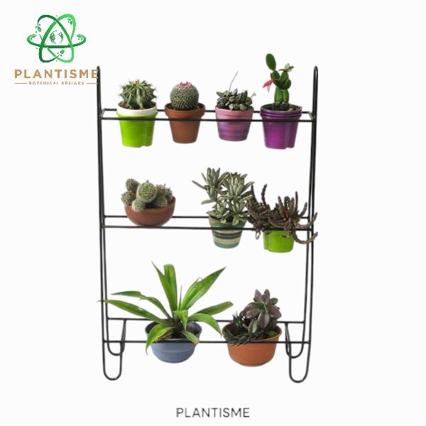 Rak Tanaman - Cascade Mini Rack Rak Dinding Panjang Pot Kecil Dekorasi Ruang Indoor Display Tanaman 