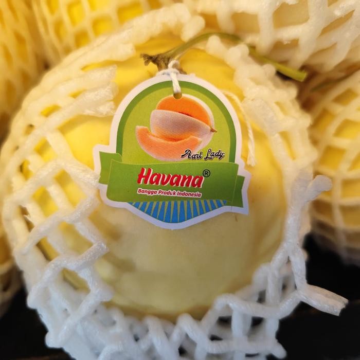 

Melon hydroponic oren | buah melon pearl lady sweet / pcs