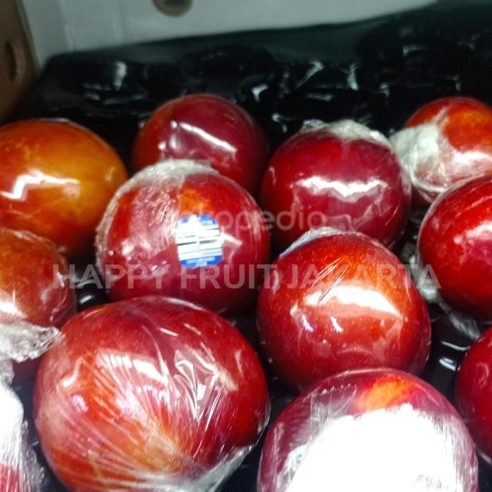 

Plum merah Amber jawel super Australia 1 kg
