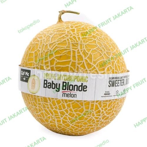 

Melon Baby Blonde Super manis / pics