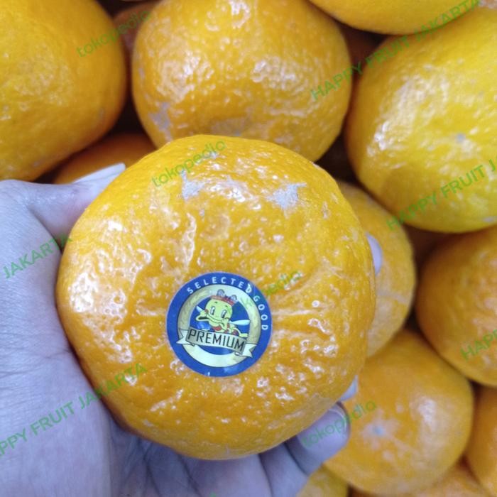 

Jeruk Wokam Mougi Manis banyak air 1 kg