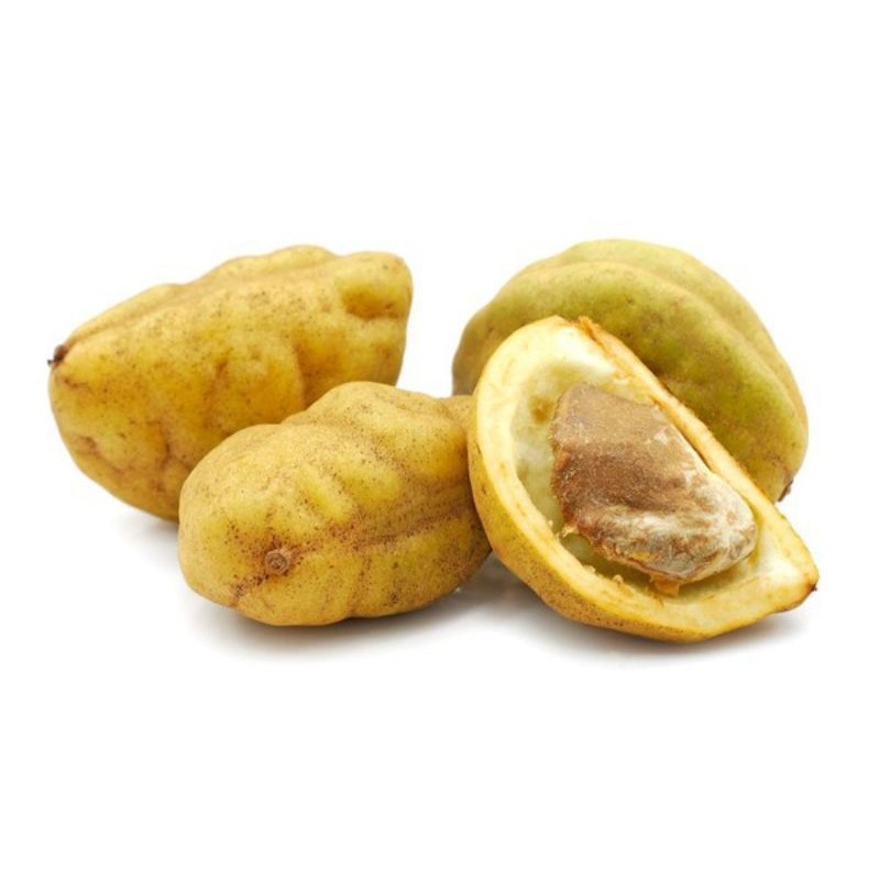 

BUAH NAMNAM /BUAH PUKIH PER 3 PCS SEGAR FRESH