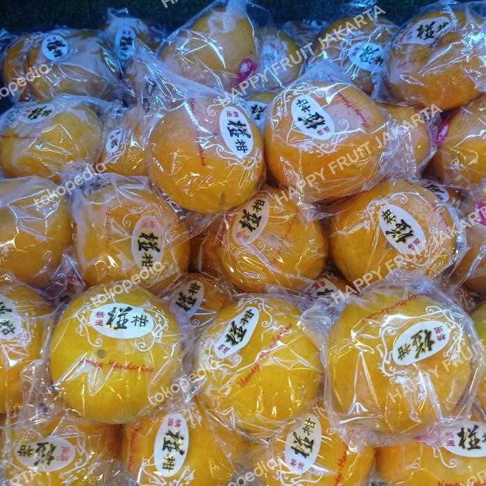 

Jeruk ponkam HDL super manis dan lembut 1 kg