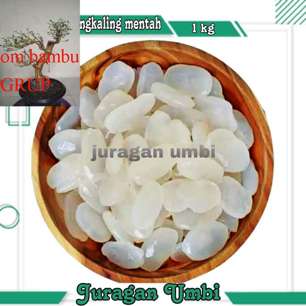 

Kolang Kaling Segar Caruluk Fresh 1 Kg