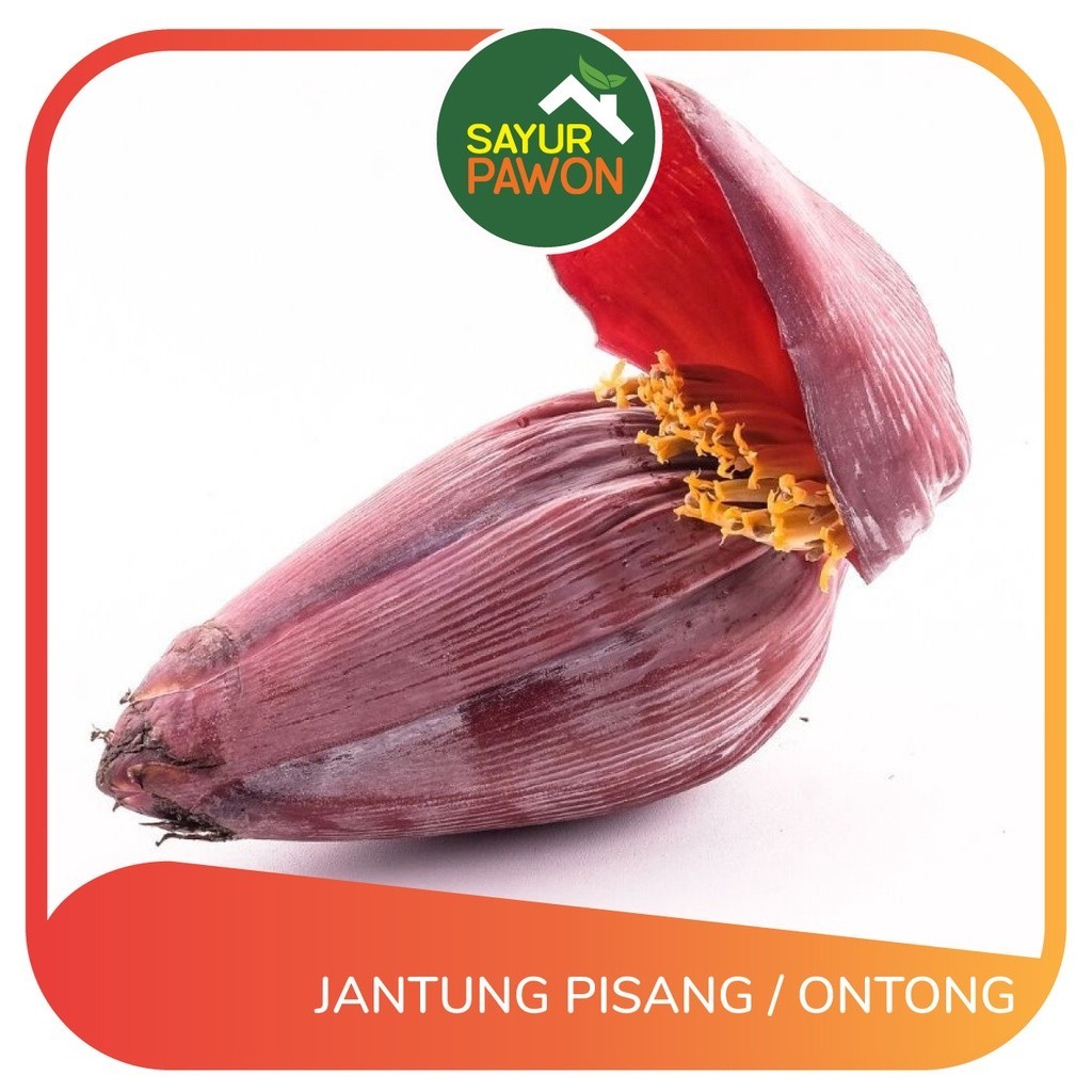 

ONTONG / JANTUNG PISANG [per buah]