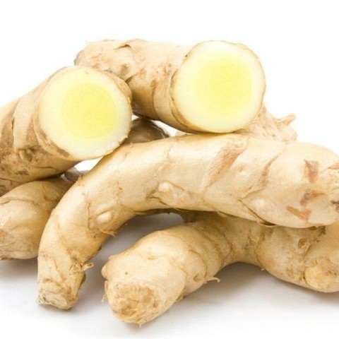 

Promo [PROMO] KUNYIT PUTIH SEGAR 1000gram CURCUMA ZEDOARIA FRESH KUNYIT KUNIR PUTIH TERMURAH T.V.P