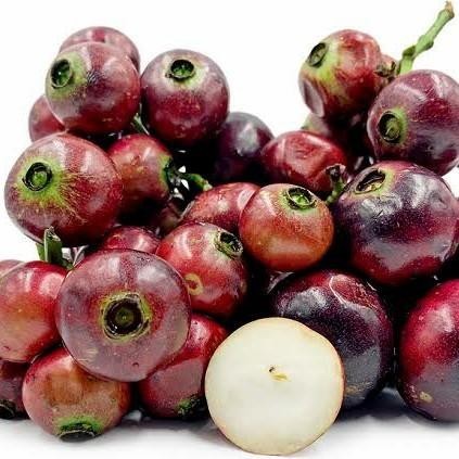 Buah Gowok Segar 1 kg - buah langka