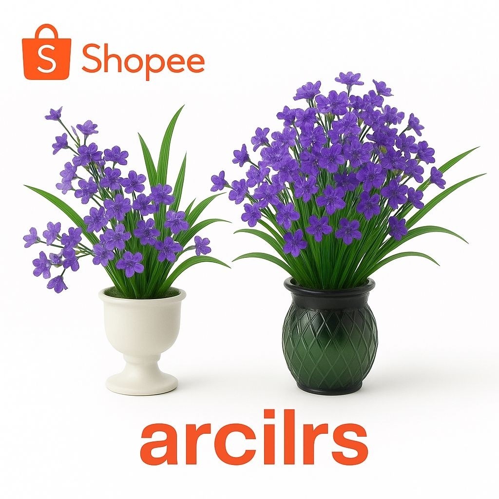 ( BISA BAYAR DI TEMPAT? TANAMAN HIAS ANGGREK Cymbidium Anggrek Parfume Ungu – Bunga Harum Elegan