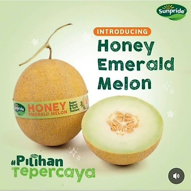 Melon Honey Emerald Sunpride Per Buah