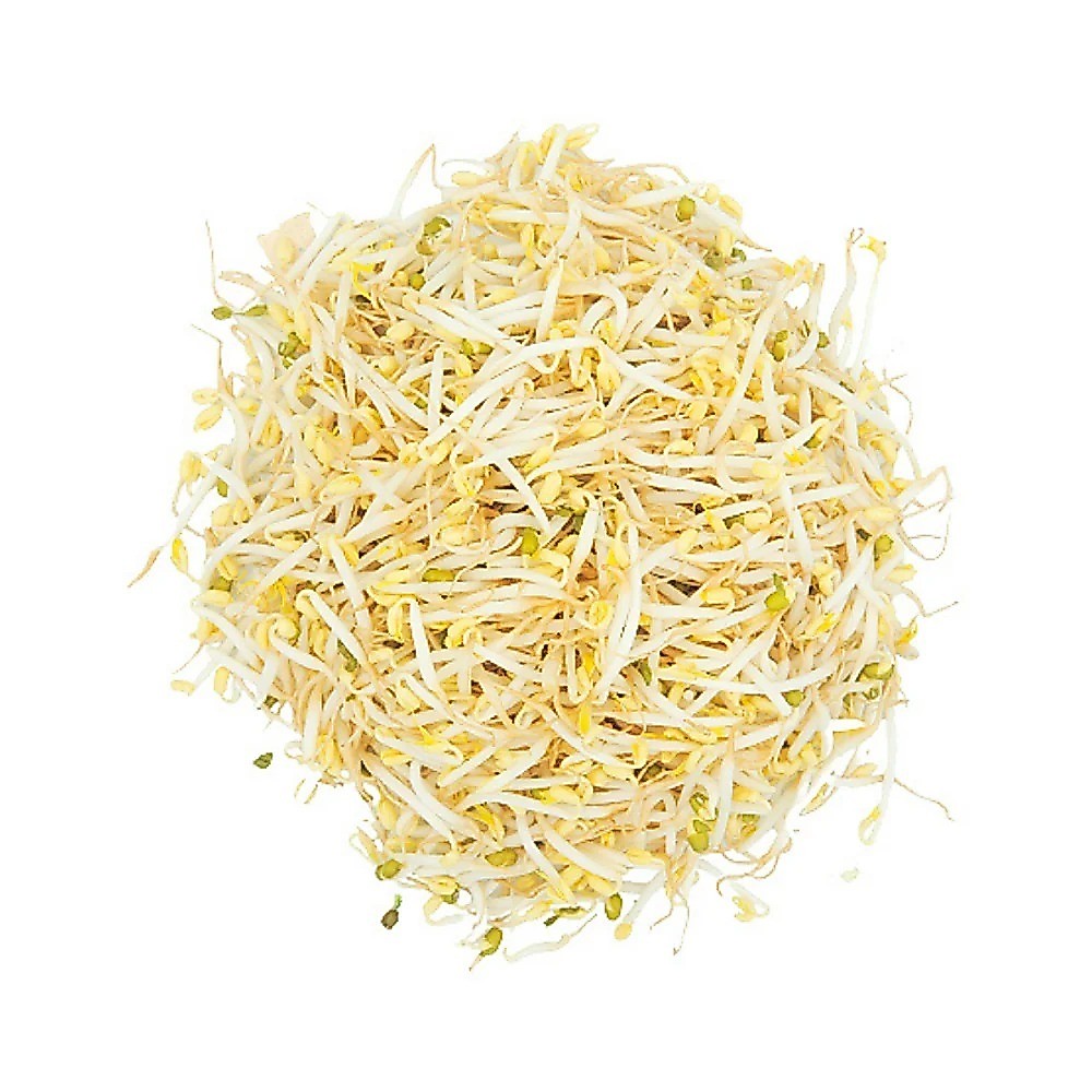 Tauge / Toge Segar Sayur Toge Kacang ijo berkualitas  toge fresh di petik langsung