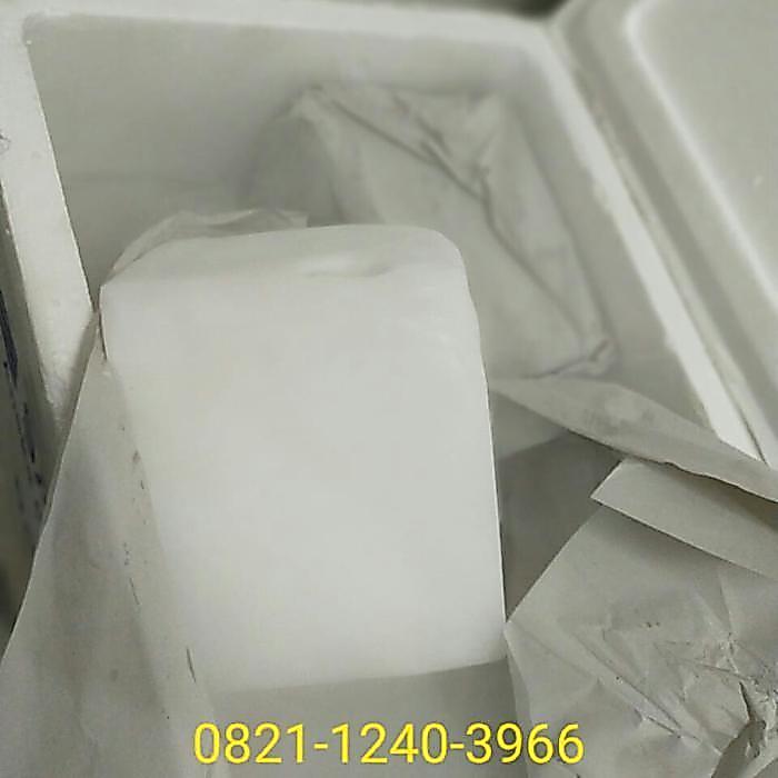 Dry Ice Es Kering Biang Es Terlaris