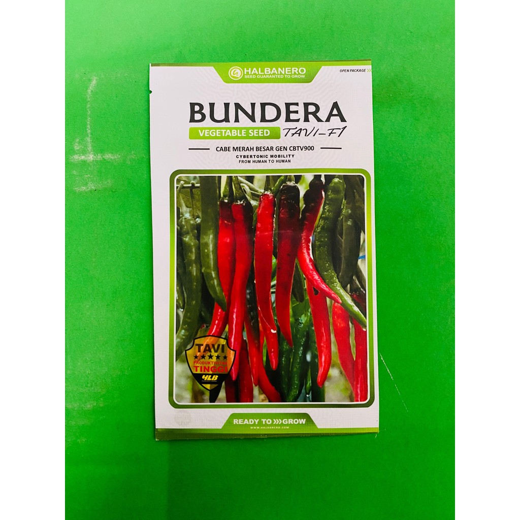Benih cabai besar gen cbtv900 BUNDERA TAVI F1 tipe merunduk isi 1600 biji dari HALBANERO