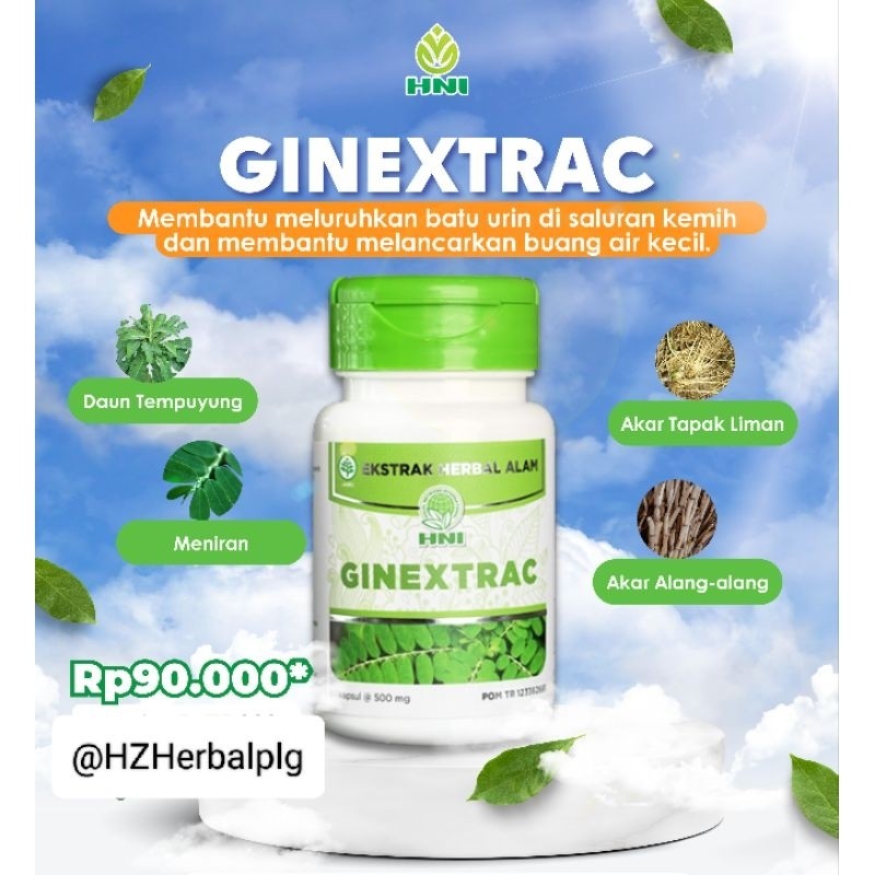 Ginextrac HNI HPAI 100% ORIGINAL Membantu Mengobati Batu Ginjal, Batu Empedu