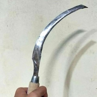 PANEN PADI ALAT PANEN PADI ALAT POTONG PADI SABIT PADI