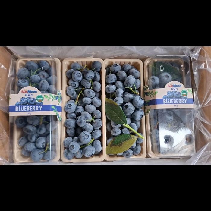 

Blueberry jumbo Summon manis bertangkai 200 gr