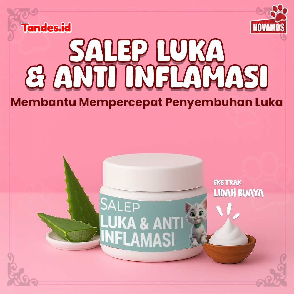 Novamos Obat Luka Kucing Salep Anti Inflamasi Luka Pasca Operasi Cepat Kering