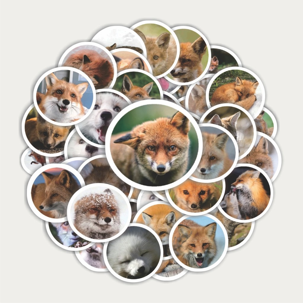 

Sticker Pack Stiker Funny Character Real Fox Portrait | Sticker TUMBLR | Stiker LAPTOP KOPER HELM