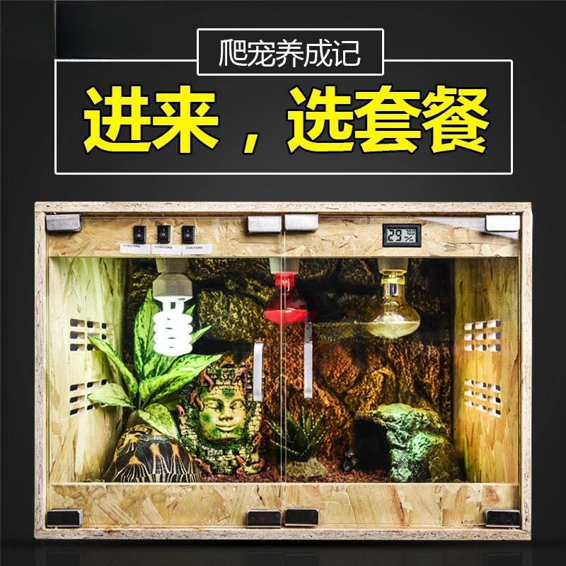 Relaxlines Reptile Vivarium Reptile Paludarium Terrarium Tank Enclosure Room Square Glass Reptile Ta
