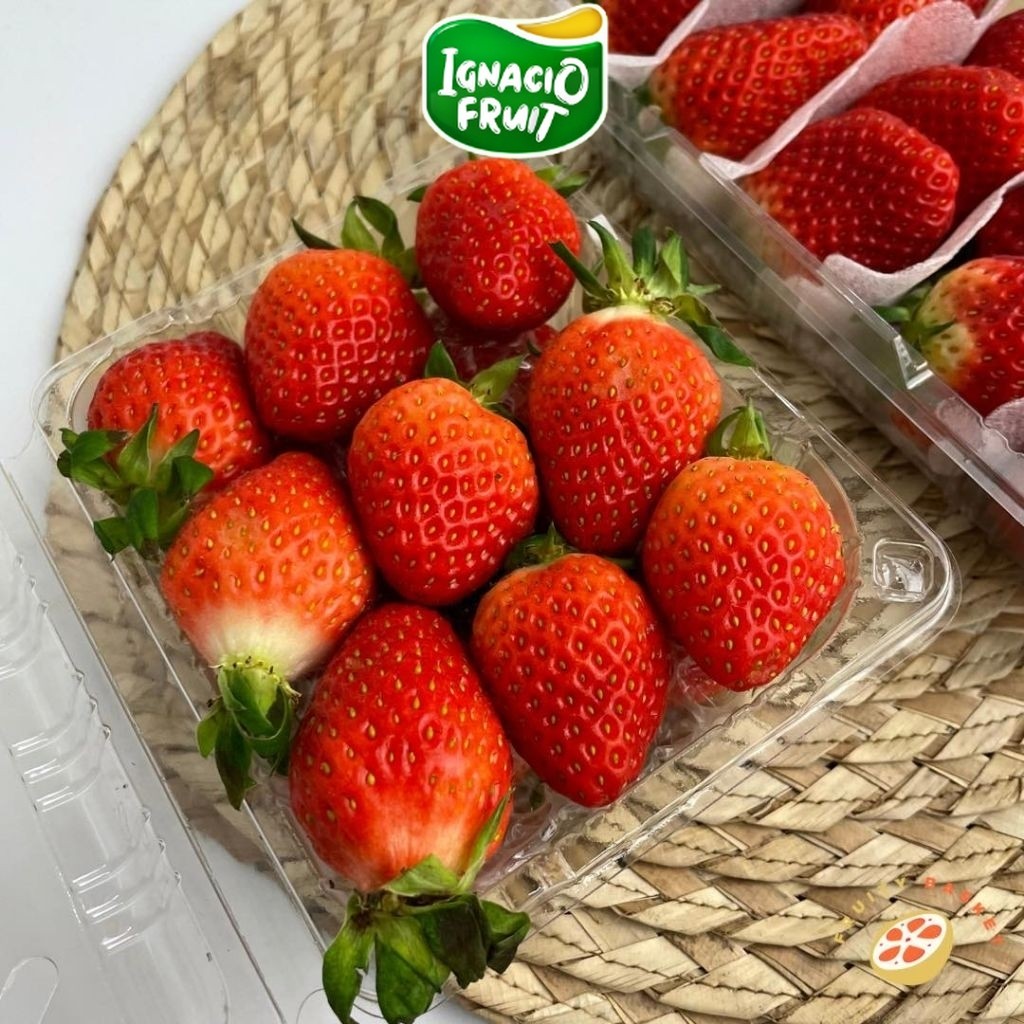[INSTAN] STRAWBERRY CIWIDEY BANDUNG SEGAR MANIS