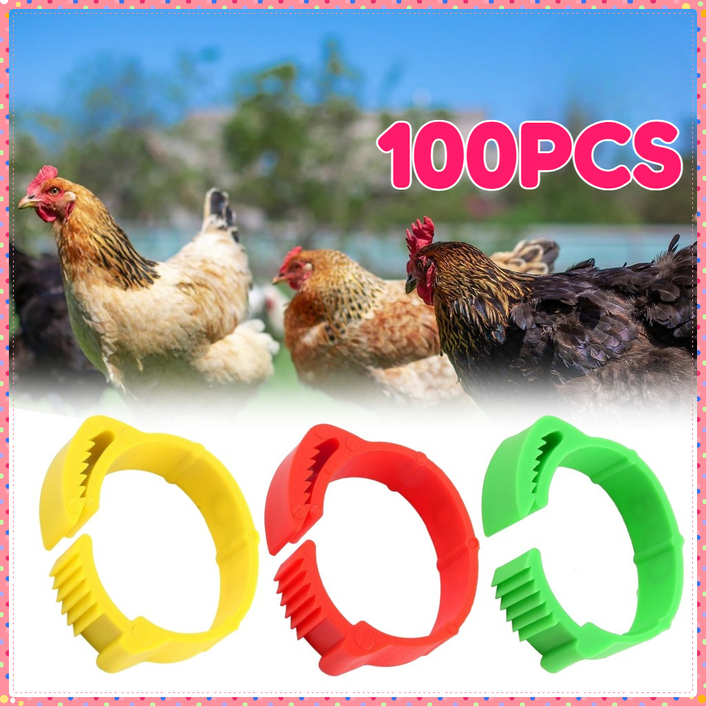 100pcs Cincin Ring Gelang Kaki/Ring Gelang Kaki Ayam Nomor ring Ayam/ring Kaki Ayam/cincin Kaki Ayam