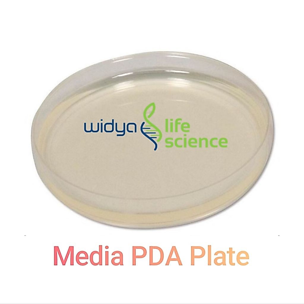 Media Agar Plate Pertumbuhan Jamur untuk TPC / Uji AKK / Potato Dextrose Agar / PDA / Media Pertumbu
