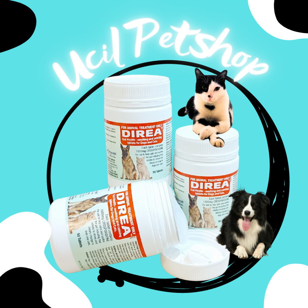Direa Obat Anti Diare Kucing Anjing (1 BOTOL = 50 Tablet)