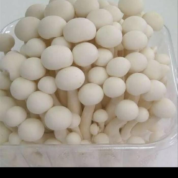 

jamur shimeji white/brown 1 pack