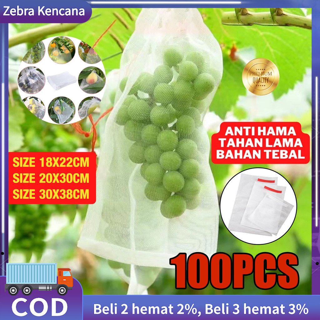 100PCS Fruit Cover/Pembungkus Buah/Fruit Cover Anti Serangga/Fruit cover net jaring transparan pembu