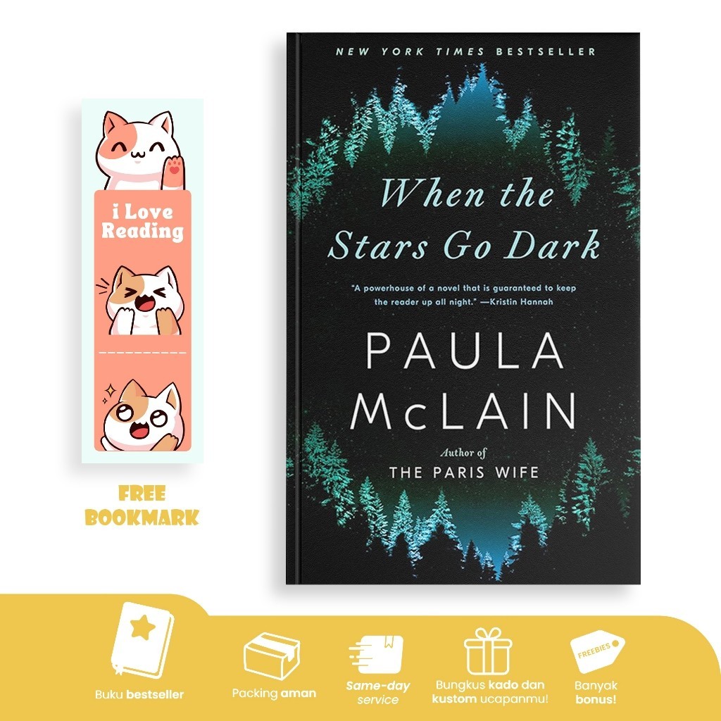 When the Stars Go Dark by Paula McLain