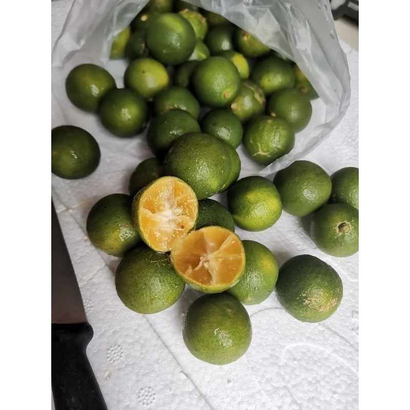 Jeruk Sonkit 1 kg - Jeruk Kunci - Jeruk Kietna - Lemon Cui - Sonkit 1kg - fresh