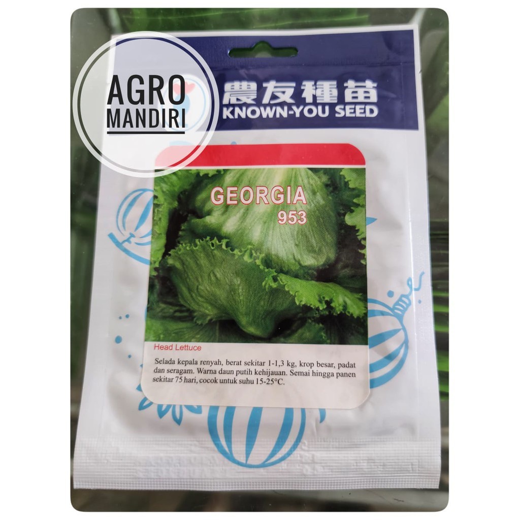Isi 5 Gram Benih Bibit Selada Iceberg Lettuce Georgia Cap Known You Seed Surabaya