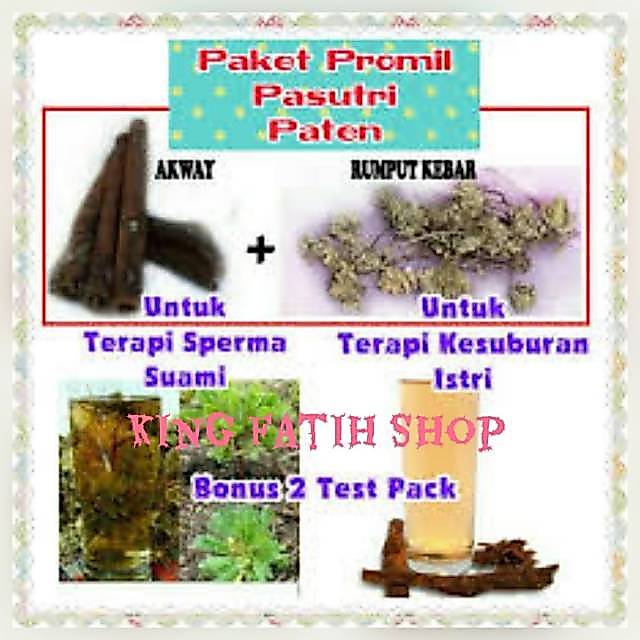 Paket Rumput Kebar + Kayu Akway Papua