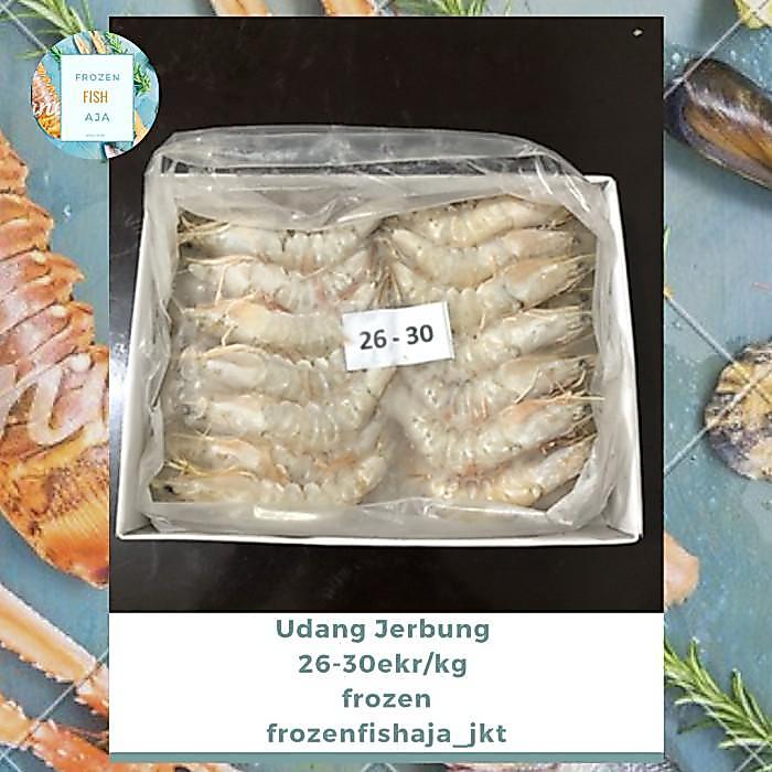 Udang Jerbung Laut Frozen/ Udang Jerbung/ Udang Laut/ 26-30 ekor/ 1KG