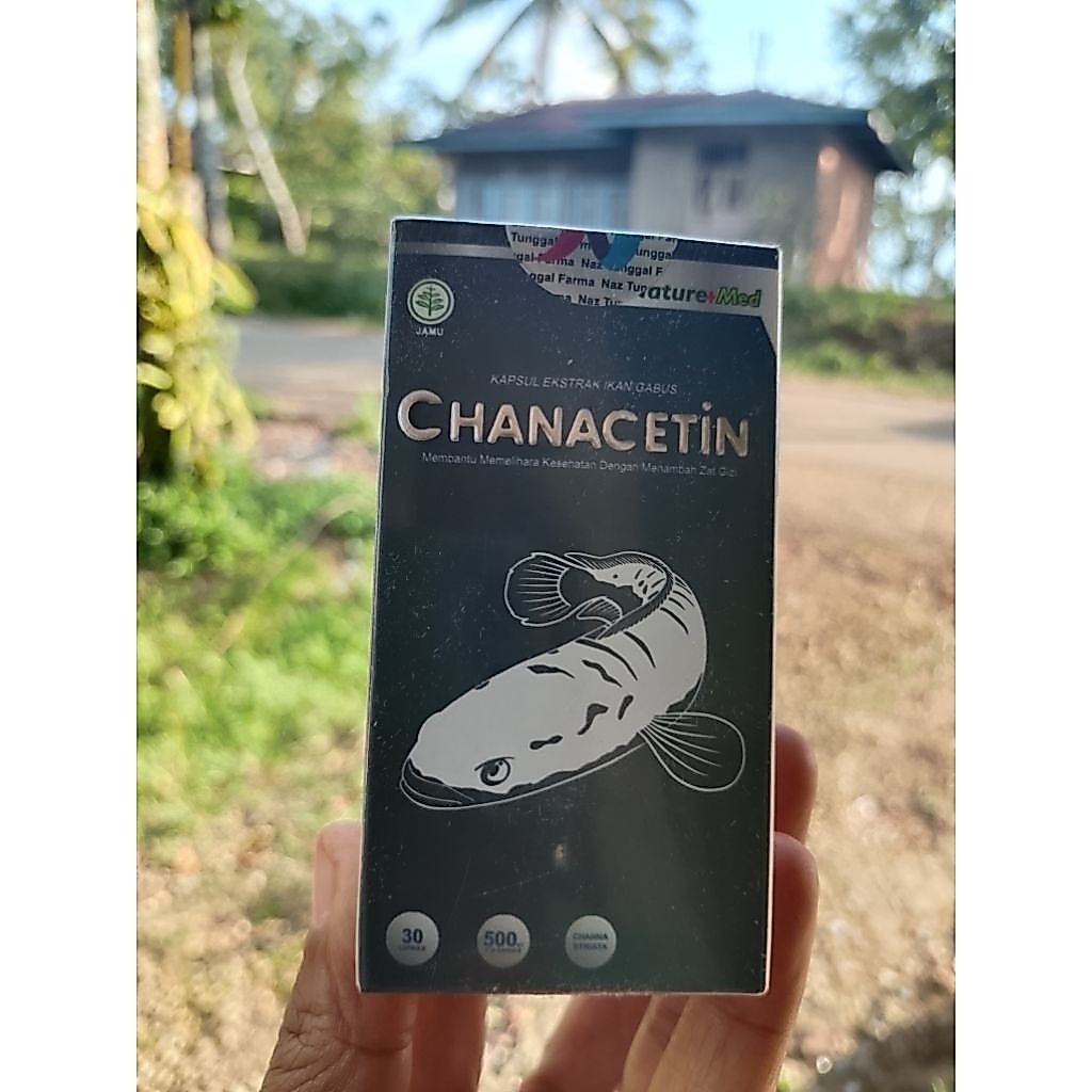 SuplemenIkanGabus