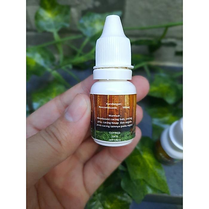 REPT-WORM OBAT CACING REPTIL KURA DARAT SULCATA FORSTENI PARDALIS