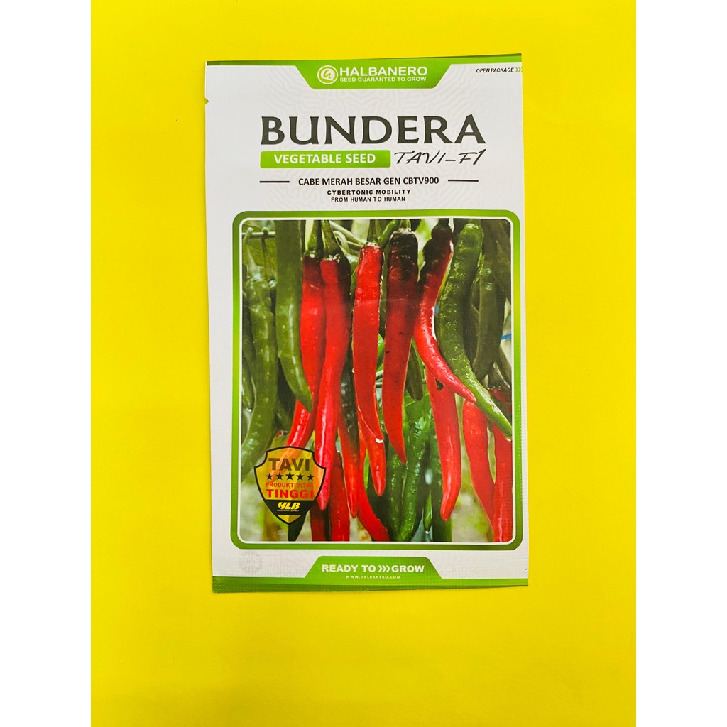 Benih cabai besar gen cbtv900 BUNDERA TAVI F1 isi 1600 biji dari HALBANERO