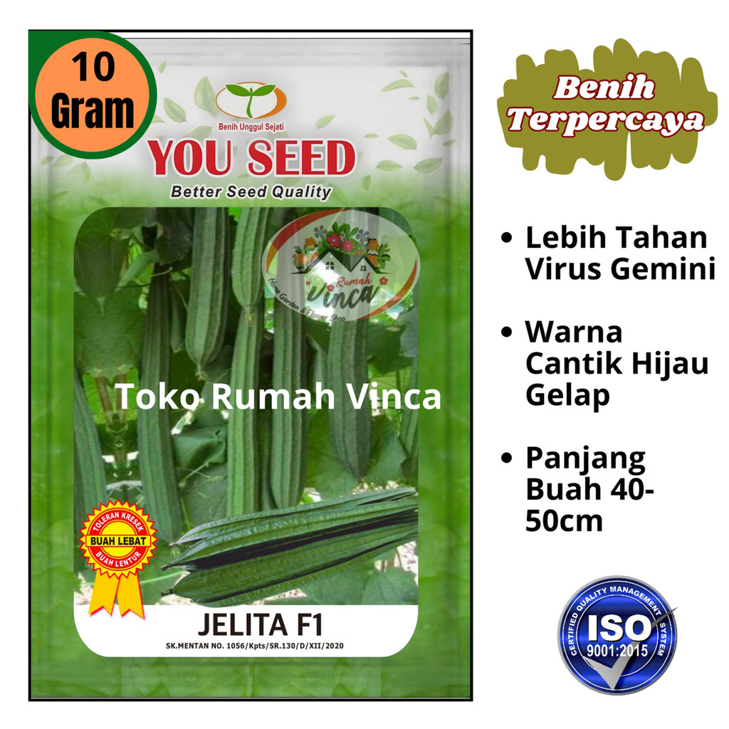 Benih Bibit Sayur Oyong JELITA F1 10g dari Youseed, Benih bibit Gambas Tahan Virus