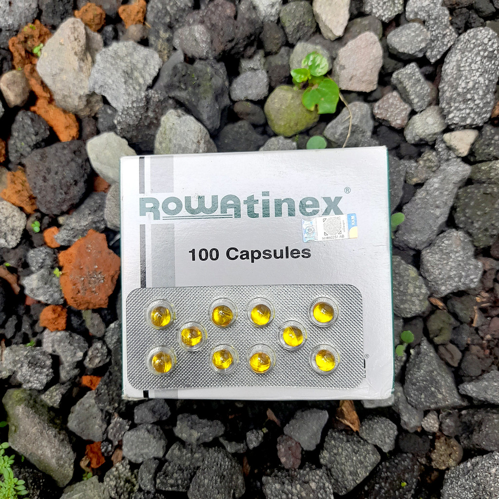 ROWATINEX ISI 1 KAPSUL - Obat Batu Ginjal Untuk Hewan Kesayangan