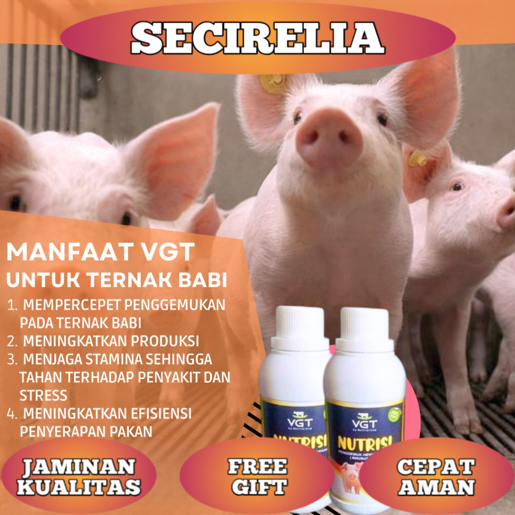 VGT NUTRISI VITAMIN TERNAK BABI