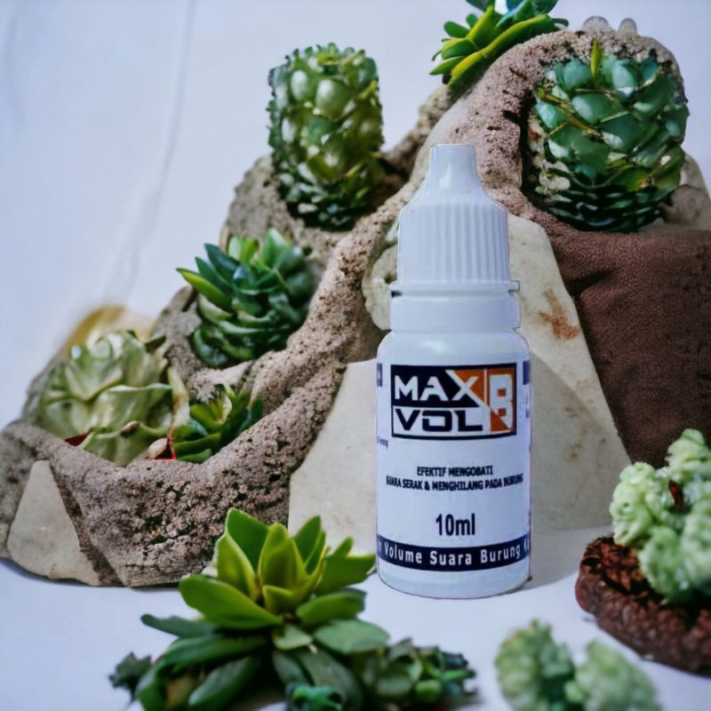 [wielson] Max Vol - B Obat Burung Serak Dan Batuk