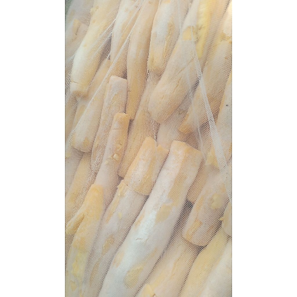 TAPE SINGKONG CILILIN - PEUYEUM 1 KG