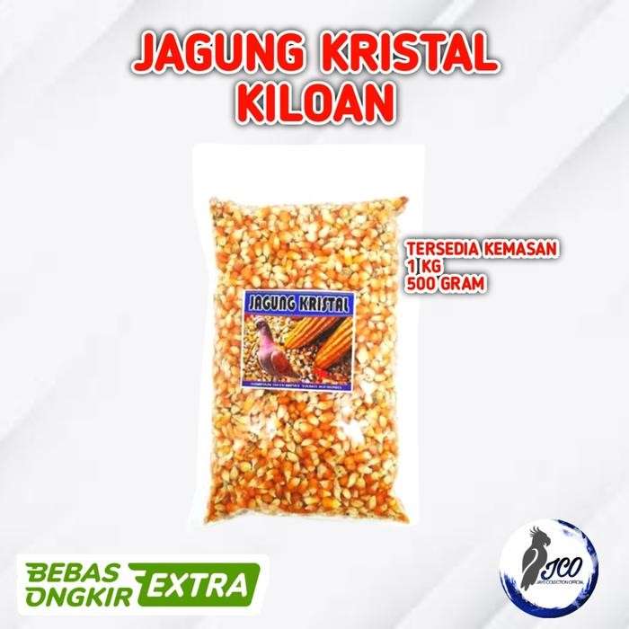 JAGUNG KRISTAL BURUNG DARA MERPATI JAGUNG KRISTAL SUPER